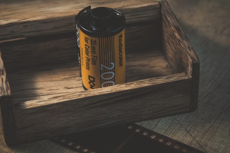 Photo Cele Mai Iubite Filme de Animație pentru Copii și Adulți