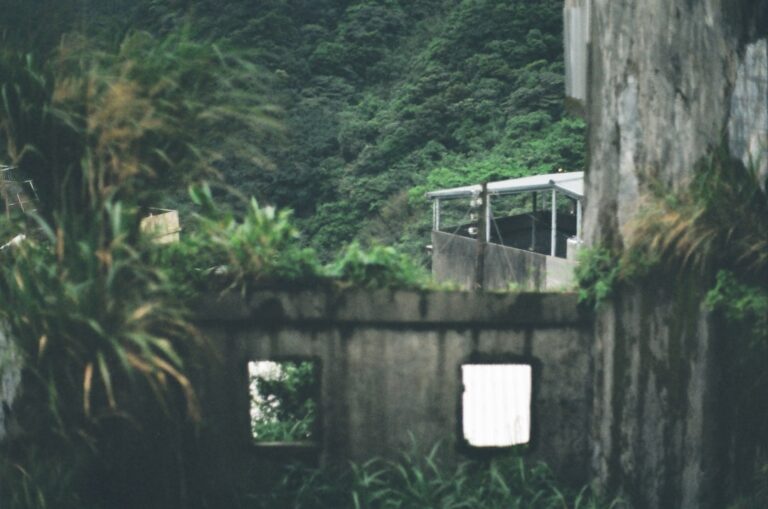 Photo Familiar surroundings