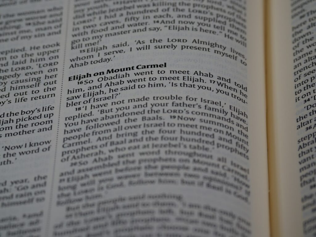 Photo learn vocabulary