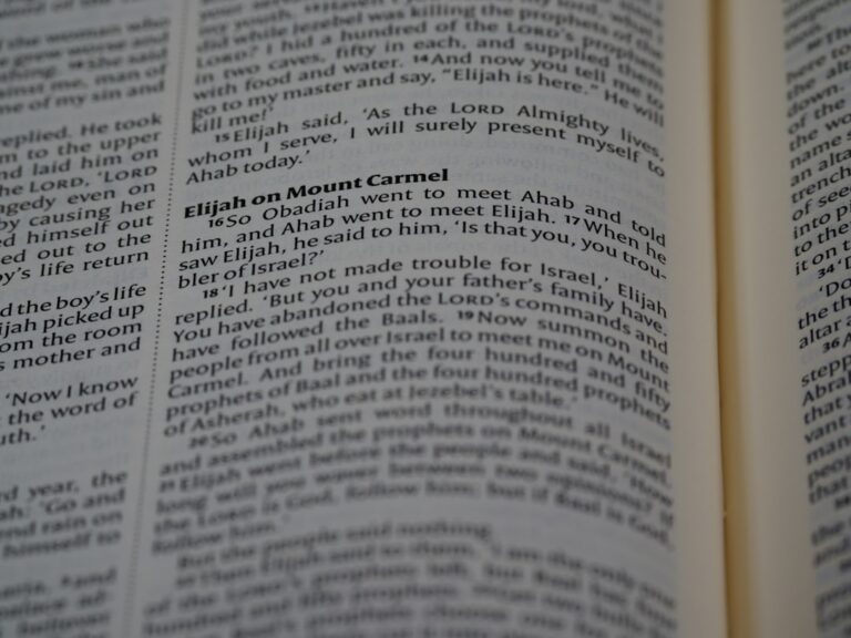 Photo learn vocabulary