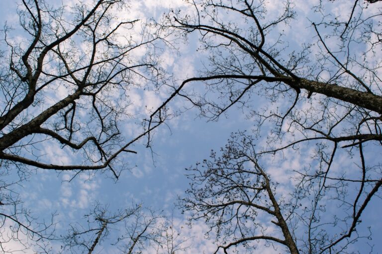 Photo change perspective