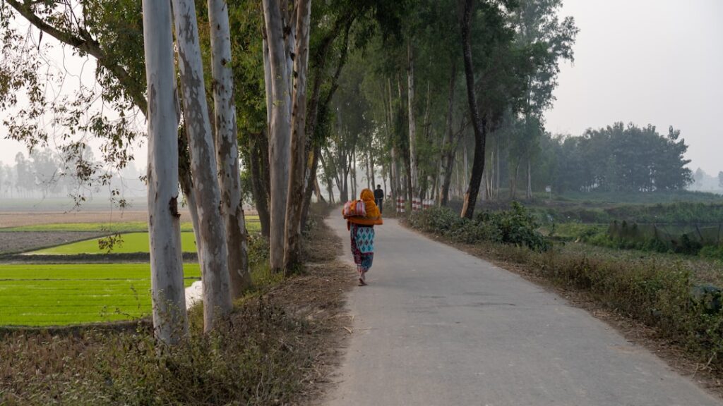 Photo healthy daily walk