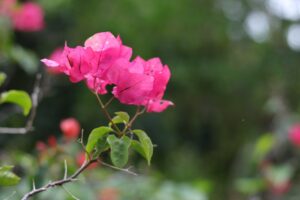 Photo complementary colors