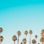 Photo brand reputation
