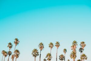Photo brand reputation