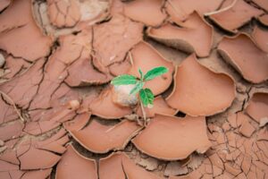 Photo environmental impact