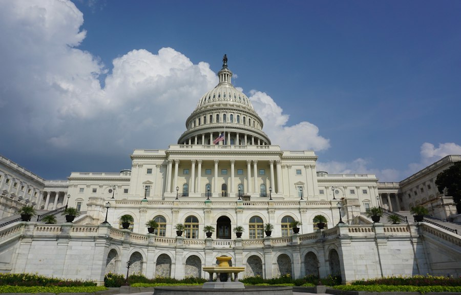 Photo role of non-governmental organizations