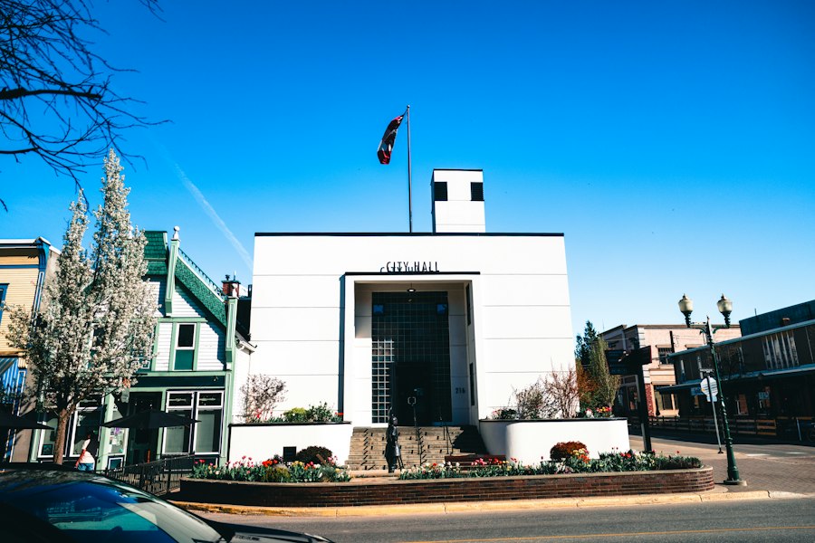 local public administration